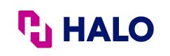 Halo Halo